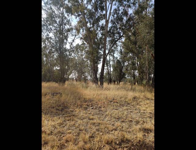16HA VACANT LAND FOR SALE IN WALKER FRUIT FARMS